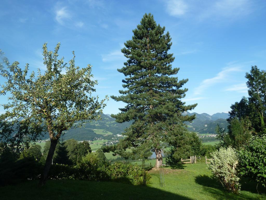 Pension Schoene Aussicht Kuchl Exterior photo